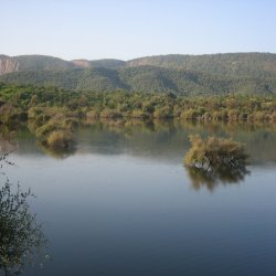 Nature Experience
