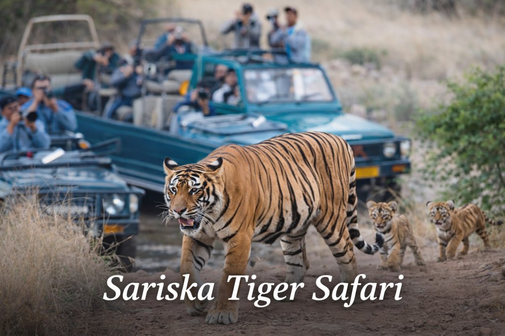 Sariska Tiger Safari Guide | Stay Near Sariska at Neelkanth Forest Retreat